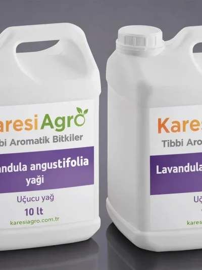 Lavandula Angustifolia Yağı 10 L